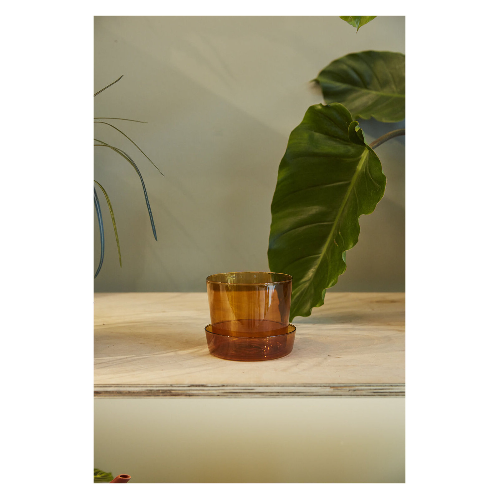 Glass Pot with Saucer, 4" H x 4.75" W x 4.75" D