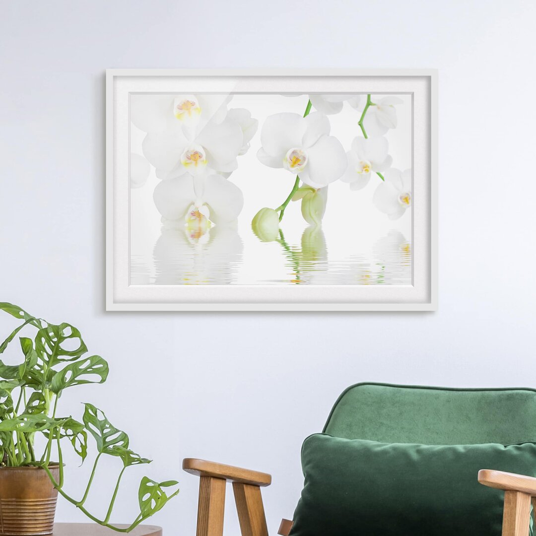 Gerahmtes Papierbild Wellness Orchidee Weiße Orchidee