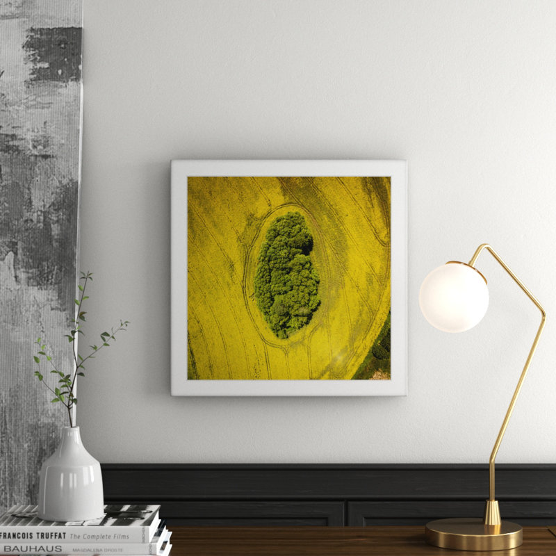 Single Picture Frame Print, 51 cm H x 51 cm W x 3.81 cm D