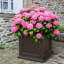 Boîte à fleurs en plastique Anastasiya-1001787926