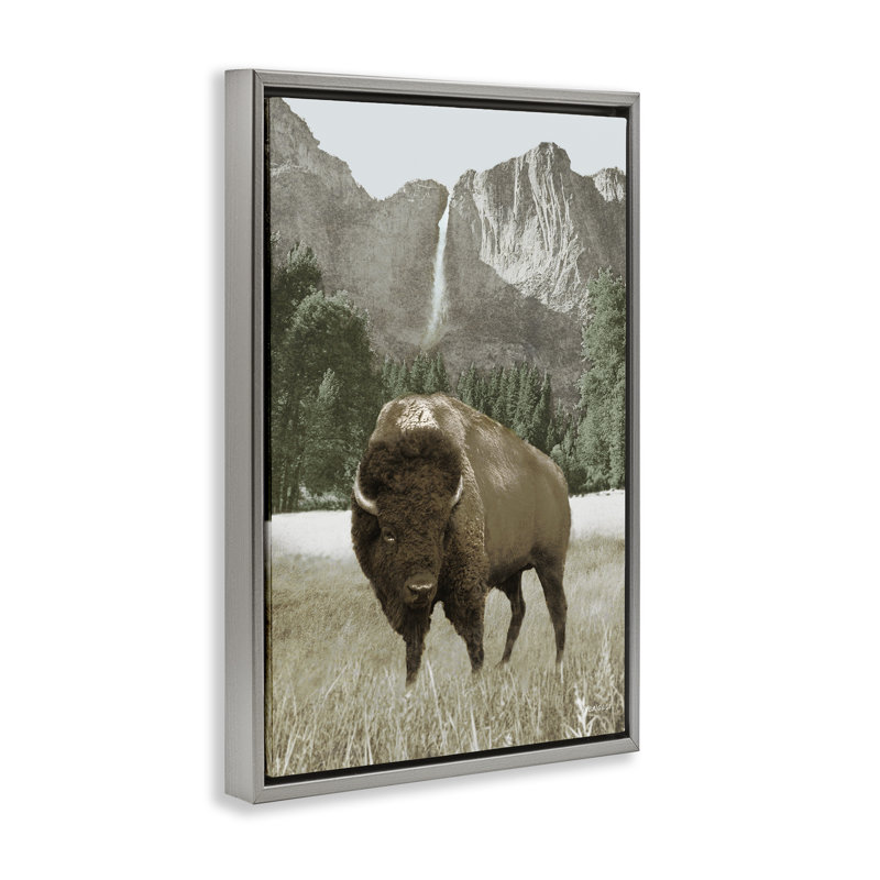 «Bison & Mountain Landscape» par Dan Meneely, Cadre flottant gris lustré, H 25 po x l 17 po