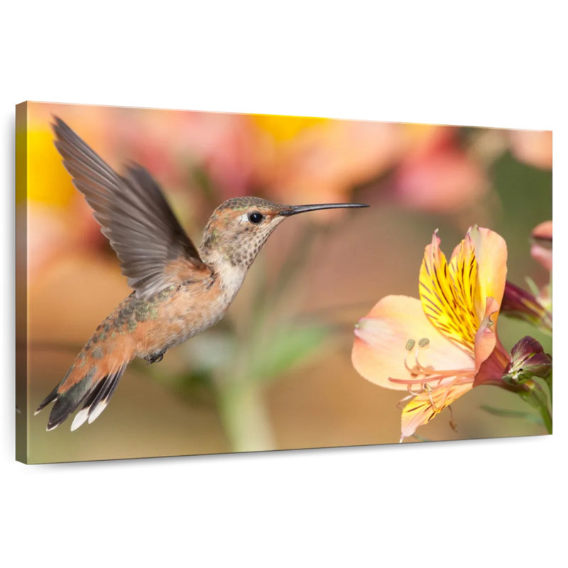 Charming Hummingbird, 32" H x 48" W