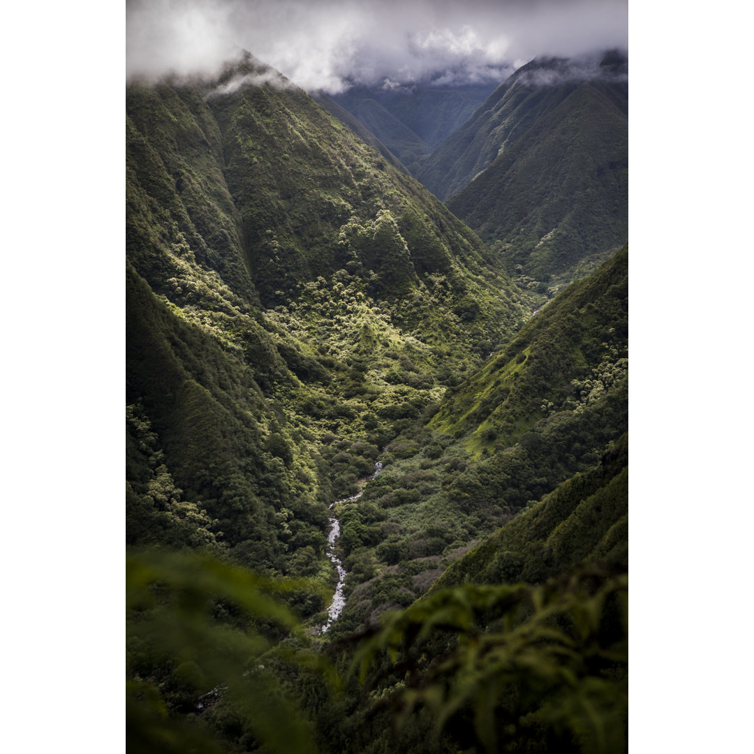 Waihee Ridge Trail von VisualCommunications - Kunstdrucke auf Leinwand