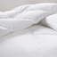 Dacron All Season Down Alternative Comforter-45199483