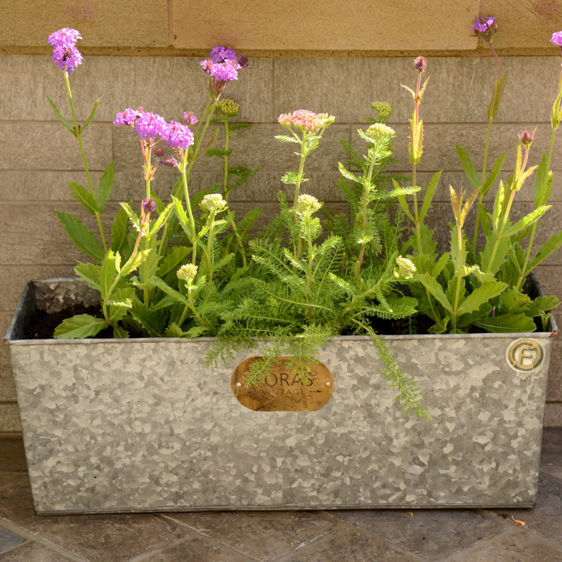 Rambo Handmade Metal Planter Box, 18cm H x 50cm W x 18cm D