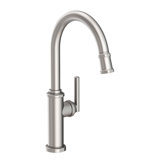Heaney Single Handle Pull Down Kitchen Faucet
