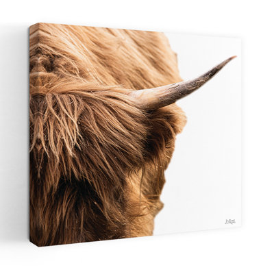 Art contemporain Highland Horn II