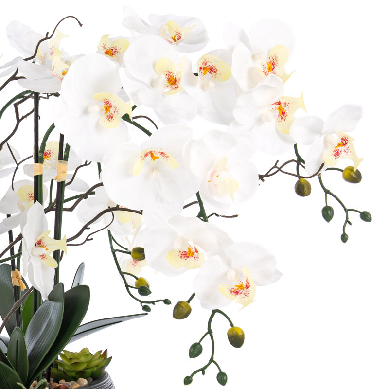 Large White and Green Plastic Orchid Arrangement in Black Pot