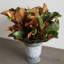 Plante magnolia artificielle 18" en urn