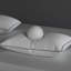 Oreiller en duvet d'oie blanche, housse 100% coton-166949030-165934168