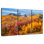 Alvord Park City en automne