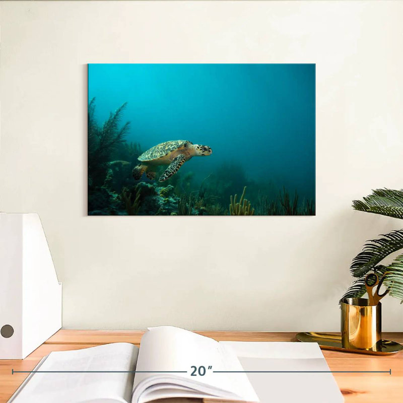 Crowle Caribbean Hawksbill Sea Turtle, 8" H x 12" W