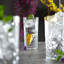 590ml Drinking Glass Set