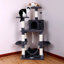 Arbre à chat ou condo 59 "Buxton-288820388