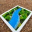 Art mural «Mousse préservée» avec rivière époxy bleu ciel et roches - 16 po x 13 po (1 pièce)