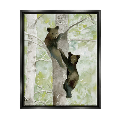 Bear Cubs Climbing Tree Nature - impression