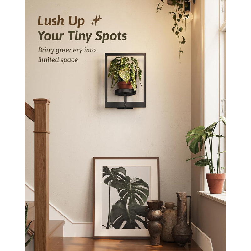 Porte-photos muraux décoratifs pour plantes d'intérieur