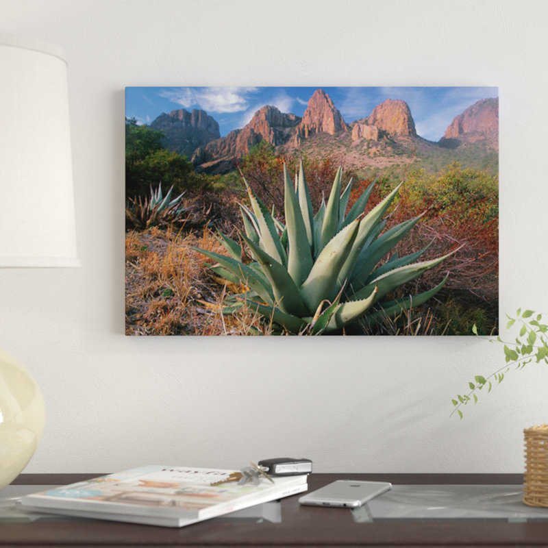 «Chisos Agave and Mountains, Big Bend National Park, Texas II» par Tim Fitzharris, reproduction sur toile tendue sur châssis
