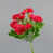 Rouge est en rupture de stock