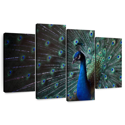 Brampt Glorious Blue Peacock