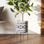 Arreguin Ceramic Pot Planter