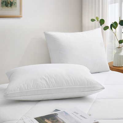 Ensemble de 2 oreillers en plumes d'oie grise de qualité supérieure - 100% coton, support moelleux et confort respirant pour tous les dormeurs