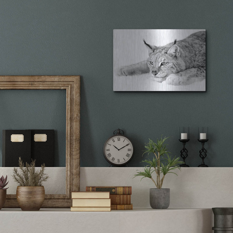 «Lynx 1» par PhotoINC Studio, H 12 po x l 16 po