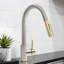 ZLINE Autograph Gemini Pull Down Single Handle Kitchen Faucet-2126995478