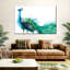 Proud Peacock Splash-990378503