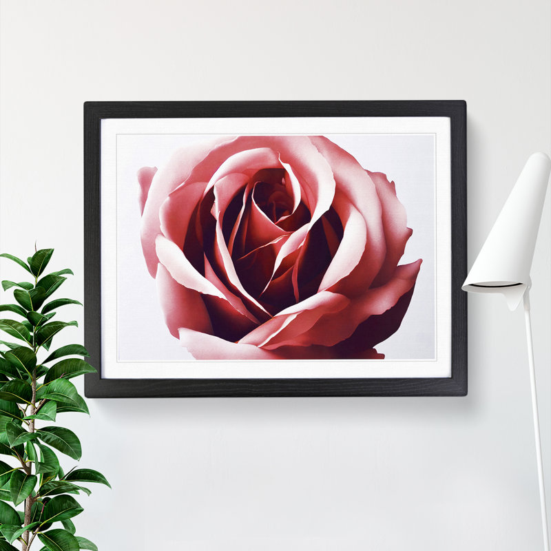 Mystical Rose Flower - Single Picture Frame Print, 46cm H x 64cm W, Black