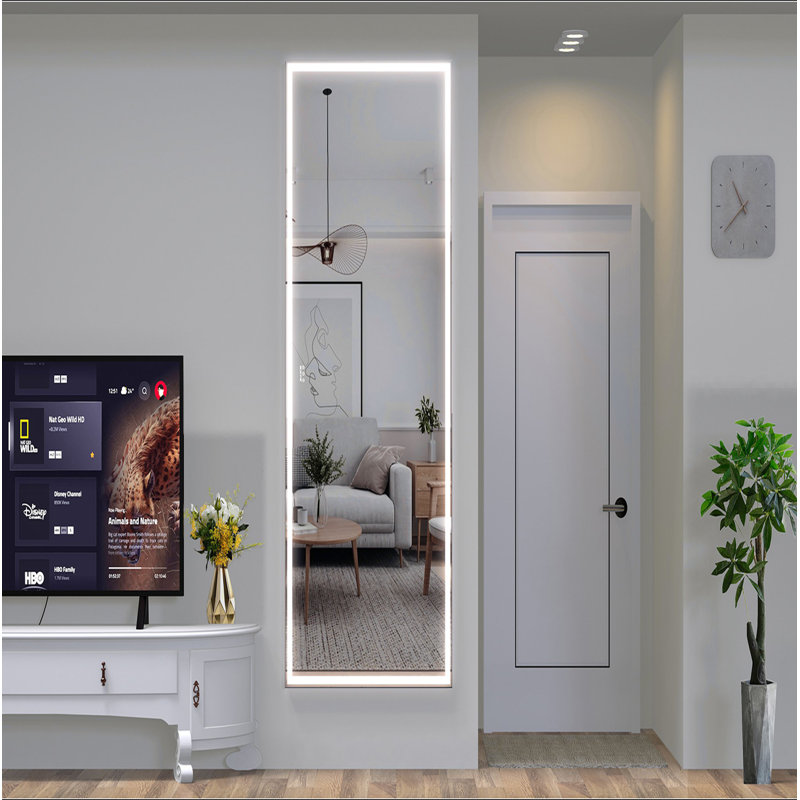 Extra Large LED Bathroom Mirror With 3 Color Aluminum Framed Wall Mirror Full Body Mirror With Lights, Vertical Horizontal Hanging Aluminum Framed Mirror For Bedroom Living Room, Silver, 84X36 Inches