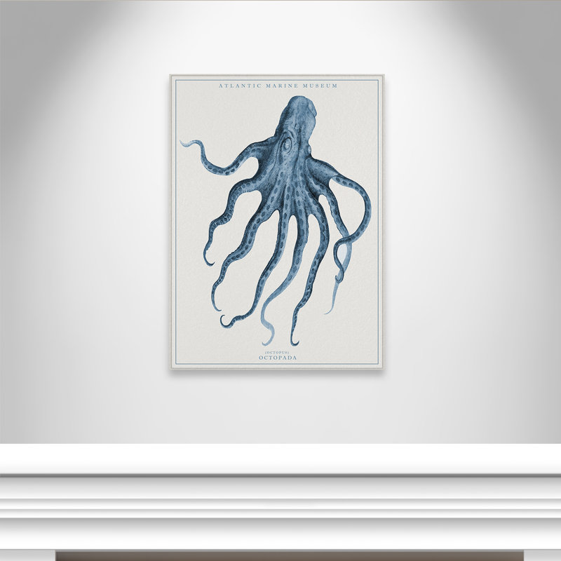 Atlantic Marine Museum Octopus I - impression, H 36 po x l 40 po x P 1,38 po, Toile