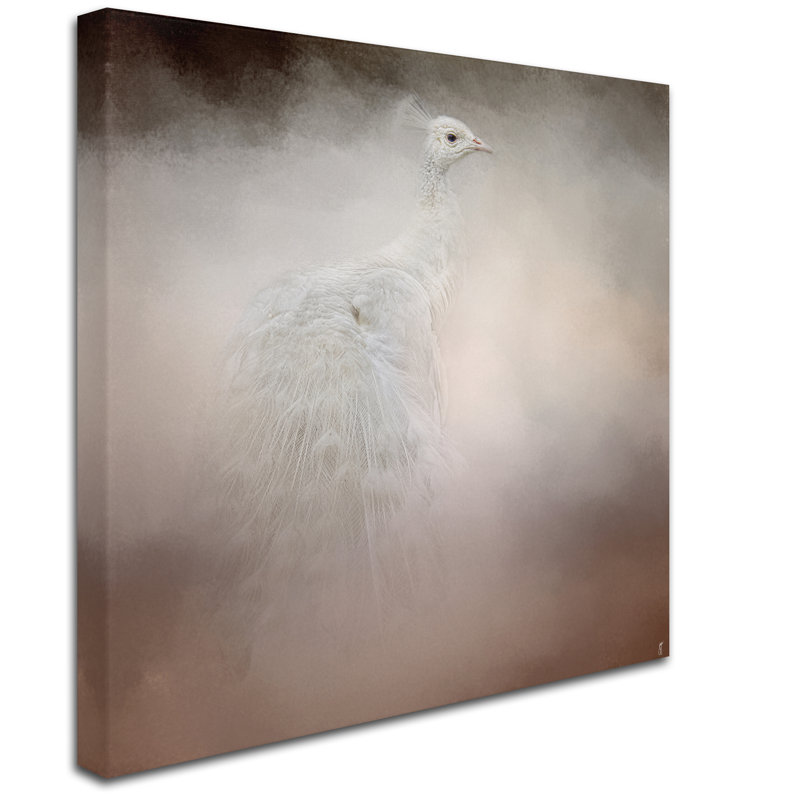 Vidur «Peacock 6», impression sur toile tendue, H 18 po x l 18 po