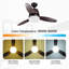 Ventilateur de plafond 52 po en bronze avec lumière à DEL et télécommande 3 pales George Oliver