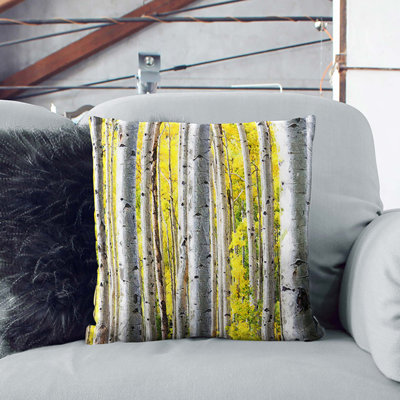 Square Cushion