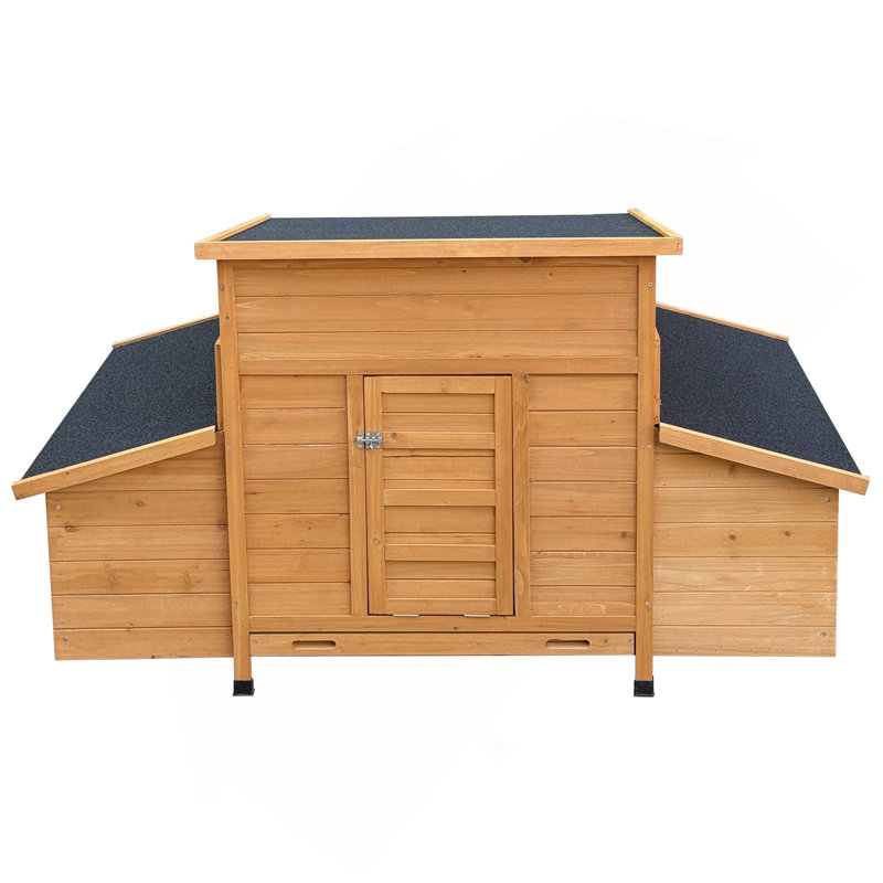 Modern Chicken Coop