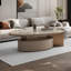Table basse ovale légère et luxueuse-105170220-105170221