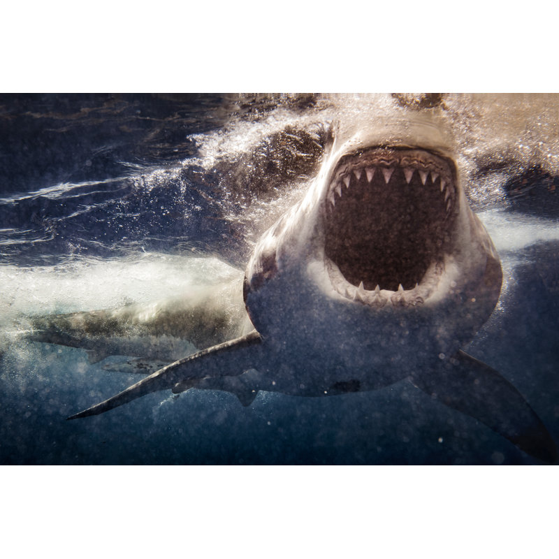 Great White Shark Attack With Blood - Wrapped Canvas Print, 61cm H x 91cm W x 3.8cm D