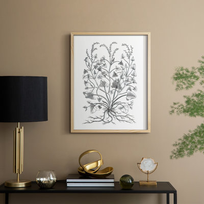 B&W Plant Specimen VIII Framed Print - Solid Wood