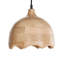 1 - Light Natural Single Pendant