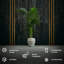 Handmade Planter-52455025