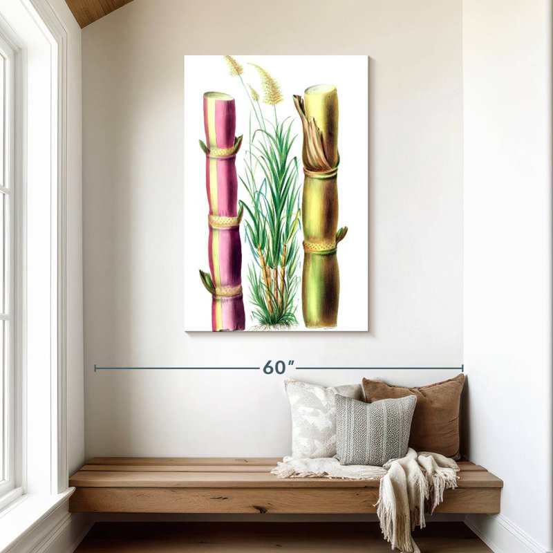 Harnek Sugarcane Stalks, 45" H x 30" W