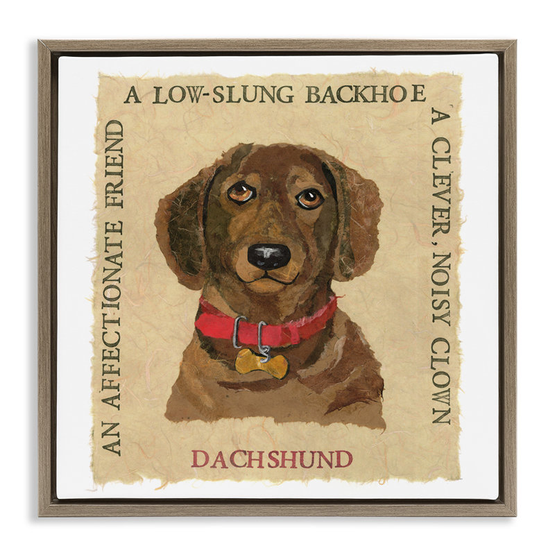 «Fun Dachshund Pet», art mural encadré flottant par Nancy Overton, Cadre flottant orme Montalcino, H 18 po x l 18 po