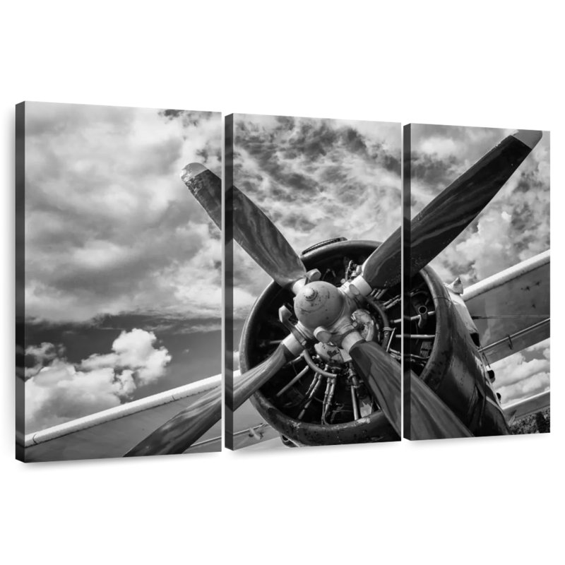 Mehar Monochrome Propeller, 42" H x 65" W