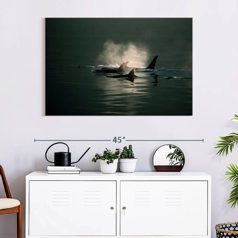 Brampt Orca Whale Pod, 26" H x 39" W