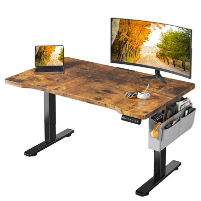 Electric Height Adjustable Standing Desk With Storage, Home Office Computer Desk With Led Lights by Latitude Run