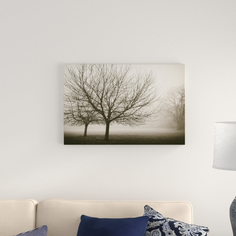 Trees in Fog VIII by Jody Stuart - Photograph Print, 51cm H x 76cm W, Wrapped Canvas