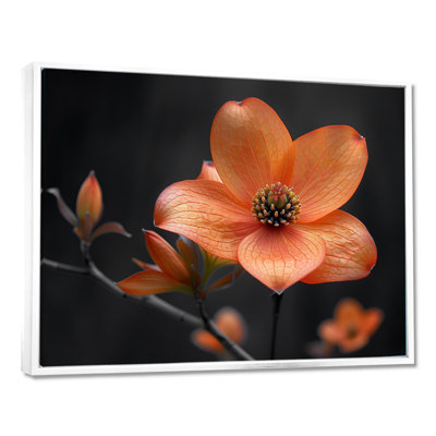 Geist - Dogwood Wall Art Print