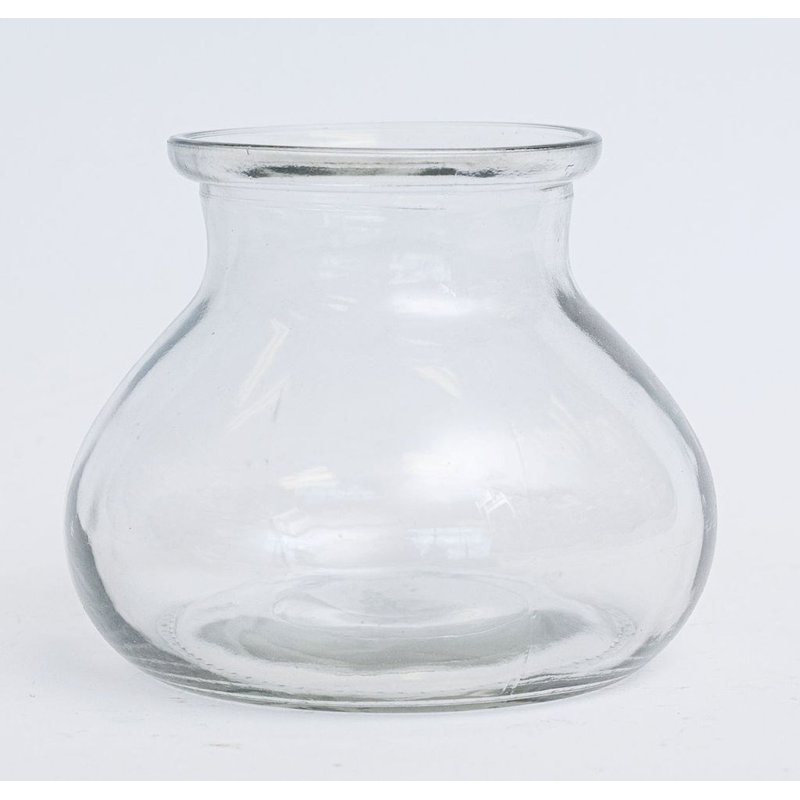 Vase en verre transparent Rosie Posie, Transparent, H 6 po x l 5 po x P 5 po