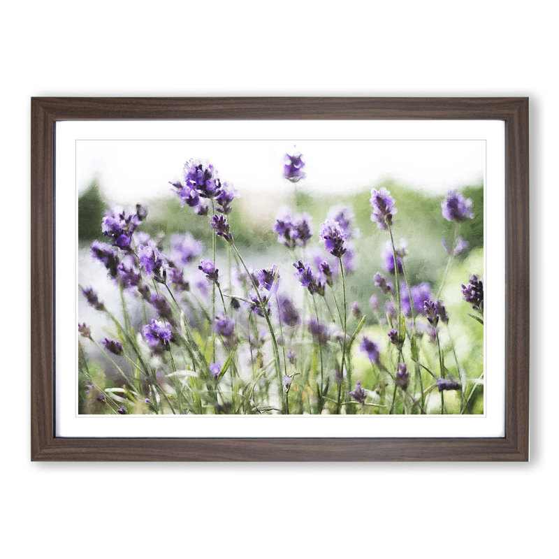 Lavender Vol.1 - Picture Frame Painting, Walnut Framed, 27cm H x 36cm W x 2cm D